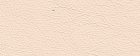 Cat. Standard Col. Pink 1260